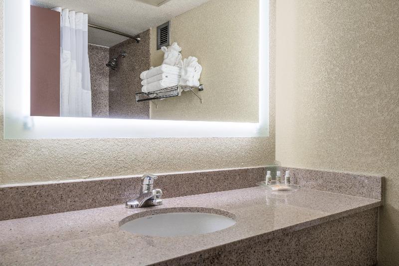 Стандартный Номер Кровать Кинг, Holiday Inn Morgantown   Reading Area, An Ihg