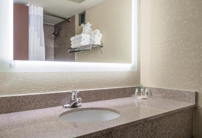 Номер Стандарт Адаптированный для Инвалидов, Holiday Inn Morgantown   Reading Area, An Ihg
