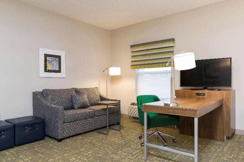 Люкс Кровать Кинг, Hampton Inn & Suites East Lansing/okemos