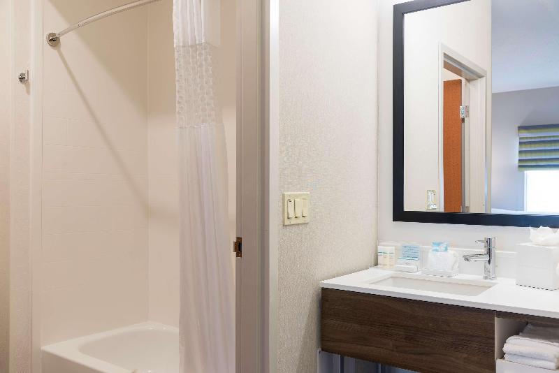 Люкс Кровать Кинг, Hampton Inn & Suites East Lansing/okemos