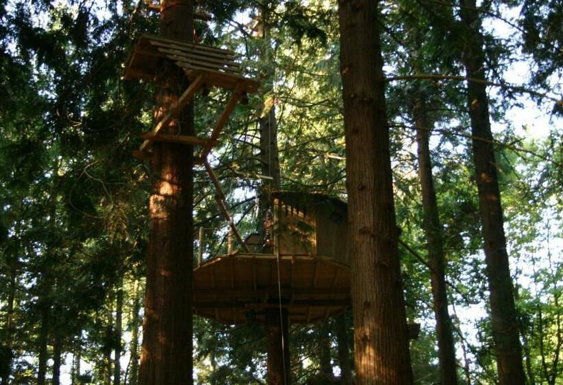 Дом 1 Спальня, Insolite Dans Les Arbres Les Ormes, Epiniac