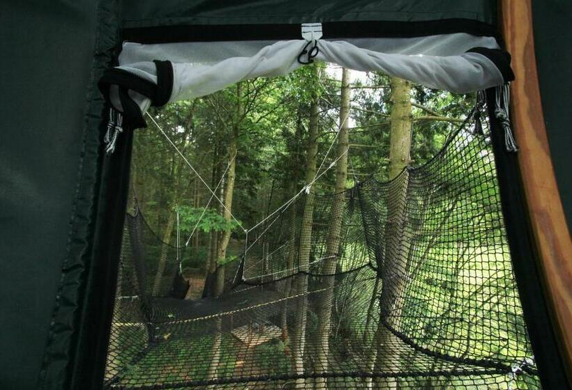Номер Стандарт, Insolite Dans Les Arbres Les Ormes, Epiniac