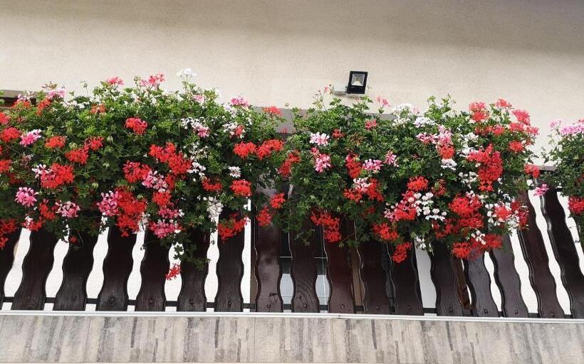 اتاق لوکس, Apartments And Rooms With Parking Space Jezerce, Plitvice   17768