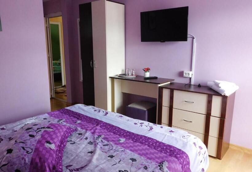 اتاق استاندارد, Pensiunea Casa Domnitei