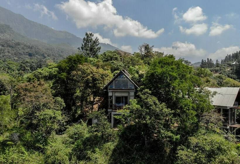 Шале 1 Спальня, Treehouse Chalets