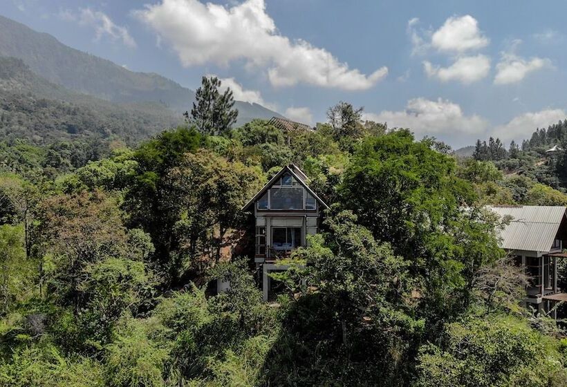 Шале 1 Спальня, Treehouse Chalets