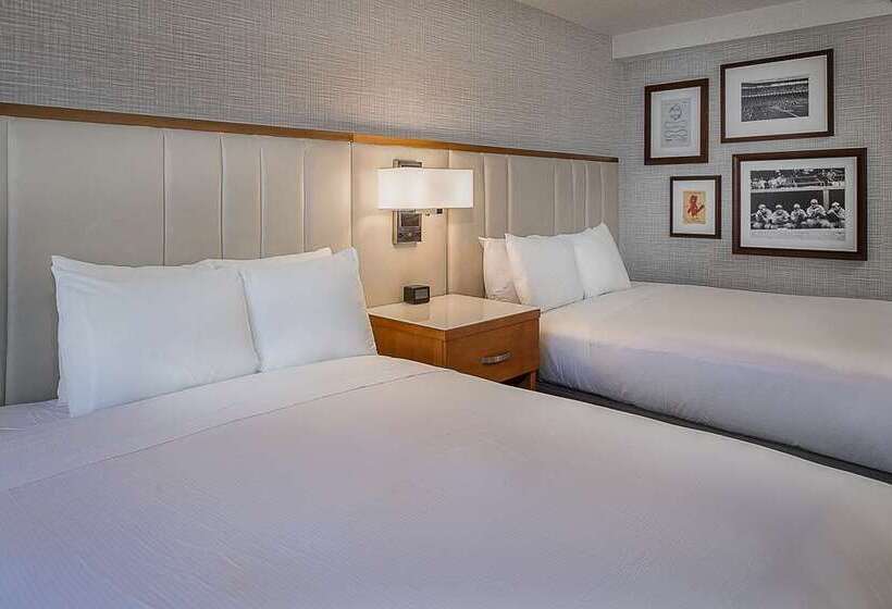 带观景的标准间, Hilton St. Louis At The Ballpark