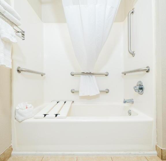 장애인을 위한 스탠다드 룸, Microtel Inn & Suites By Wyndham Palm Coast I95