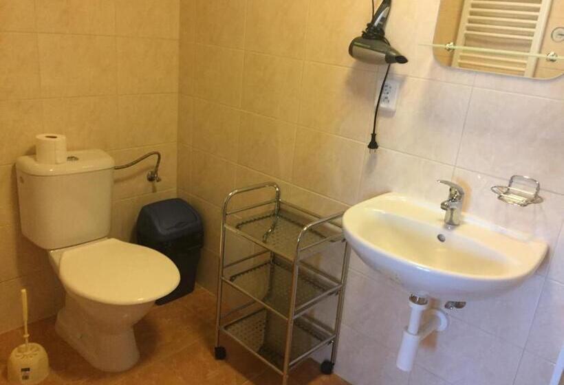غرفة سوبيريور سرير كينج, Penzion  Leslav
