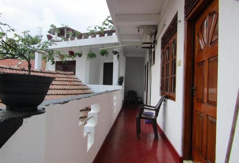 Апартаменты 1 Спальня с Балконом, New Sea Lion Guest House