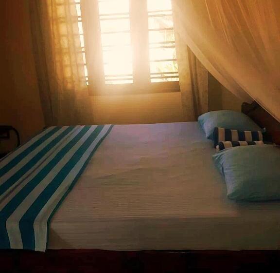 Номер Стандарт, New Sea Lion Guest House
