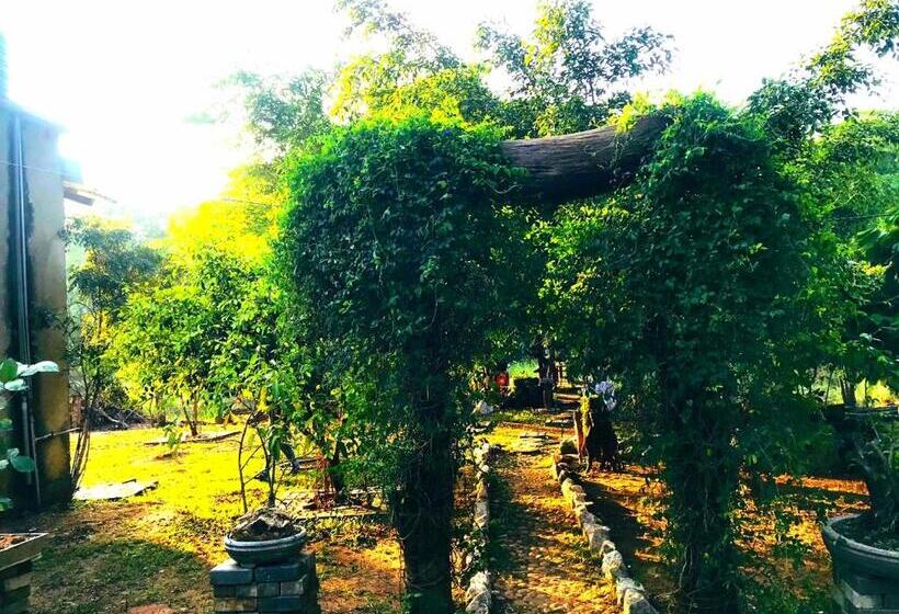 标准间带湖景, Aliya Riverside & Safari Resort