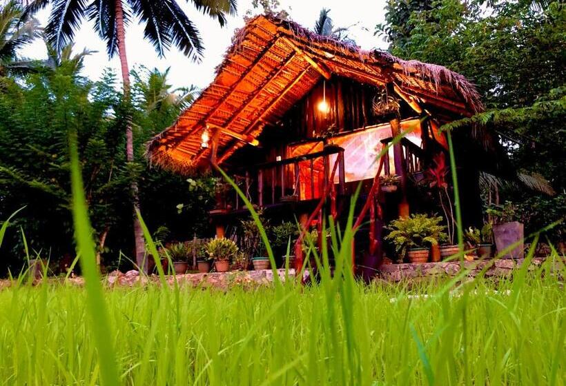 带大床的标准间, Aliya Riverside & Safari Resort