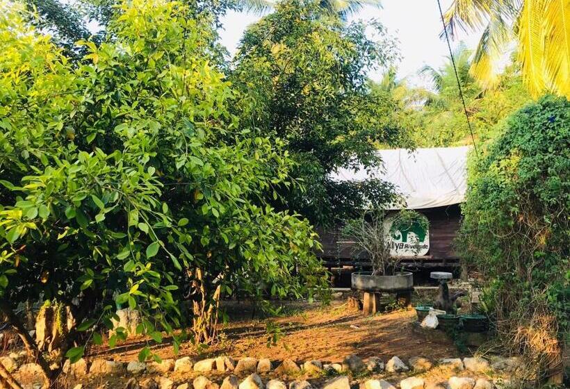带大床的标准间, Aliya Riverside & Safari Resort