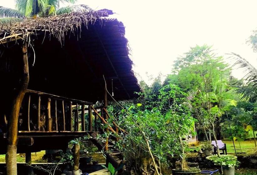 带大床的标准间, Aliya Riverside & Safari Resort