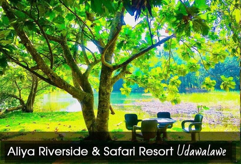 标准间带湖景, Aliya Riverside & Safari Resort
