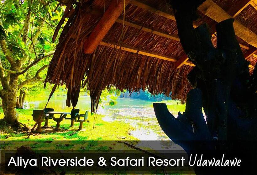 带大床的标准间, Aliya Riverside & Safari Resort