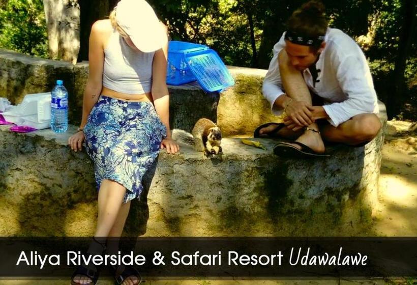 带大床的标准间, Aliya Riverside & Safari Resort