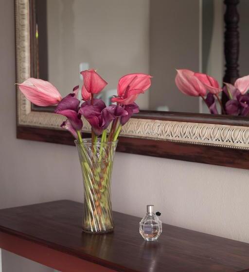 스탠다드 룸, Annie's Boutique Guesthouse And Garden Spa