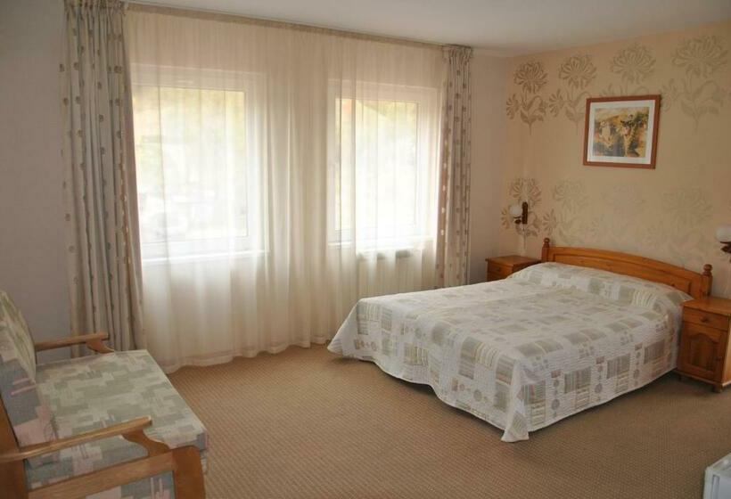 Номер Стандарт, Family Hotel Shoky