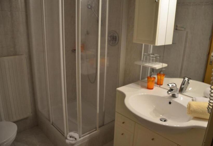 Номер Стандарт, Alpenlandhotel Rodeneggerhof