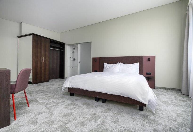 Полулюкс, B Smart Hotel Schönenwerd