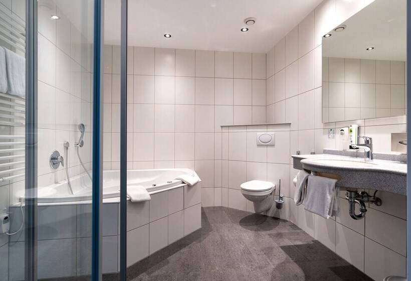 Полулюкс, B Smart Hotel Schönenwerd