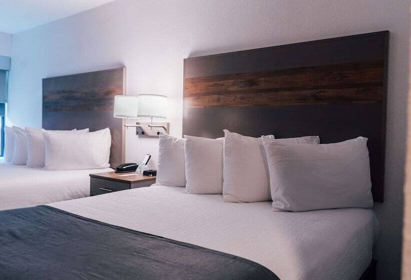带2个双人床的标准工作室, Best Western Plus Executive Residency Waterloo & Cedar Falls