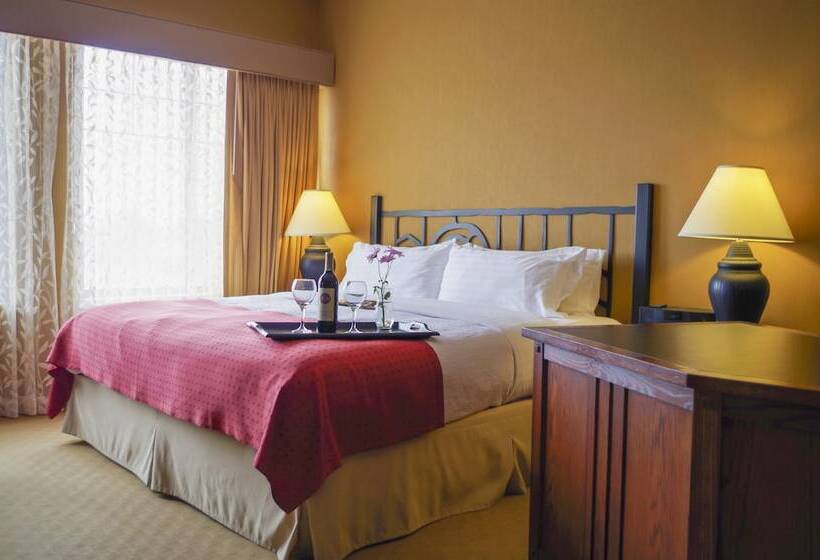 Люкс Адаптированный для Инвалидов, Holiday Inn Hotel Pewaukee Milwaukee West, An Ihg
