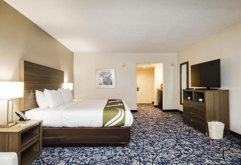 Suite met Kingsize Bed, Quality Suites Houston Hobby Airport