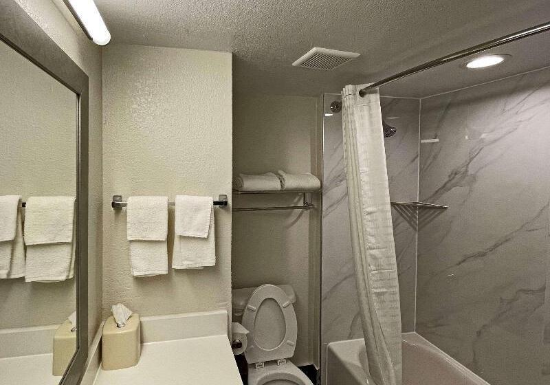 Suite met Kingsize Bed, Quality Suites Houston Hobby Airport
