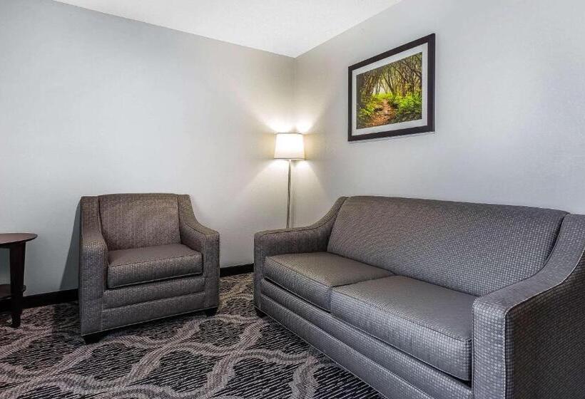Люкс, Quality Suites Pineville  Charlotte