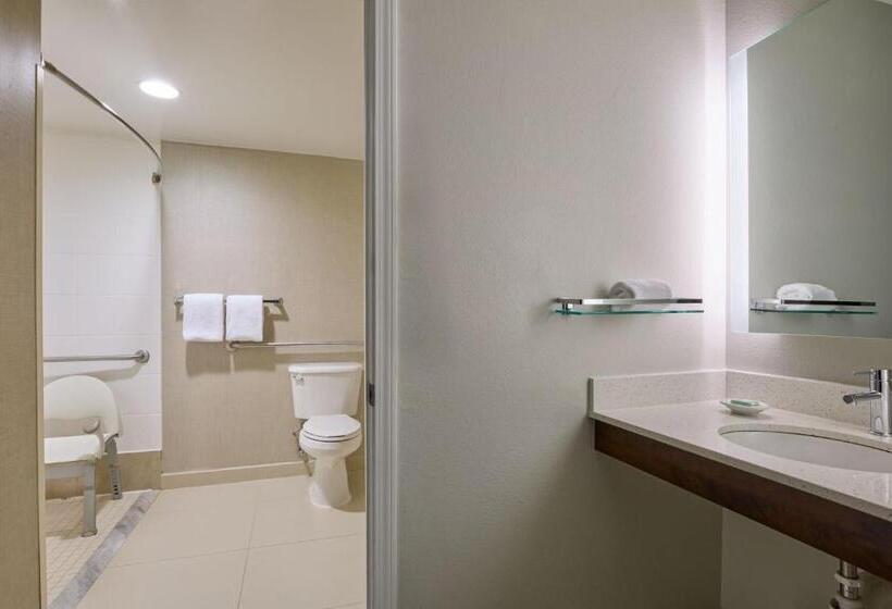 Люкс Кровать Кинг, Residence Inn By Marriott Greenbelt