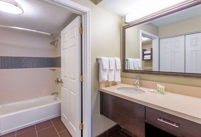 Suite 2 Dormitoare, Sonesta Es Suites Anaheim Resort Area