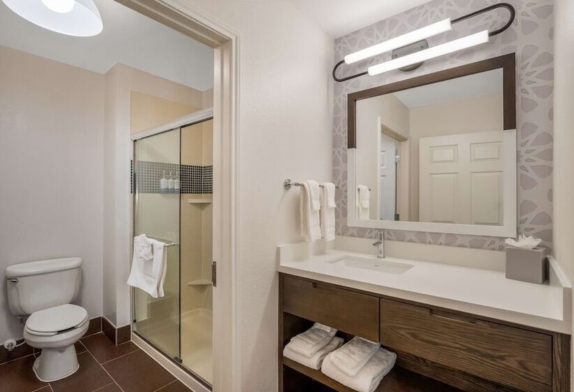 Люкс, Sonesta Es Suites Denver South  Park Meadows