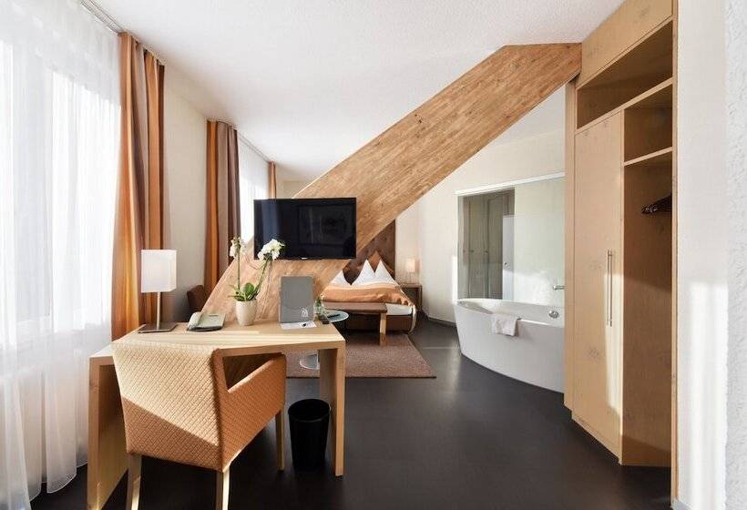 Полулюкс, B Smart Hotel Schönenwerd