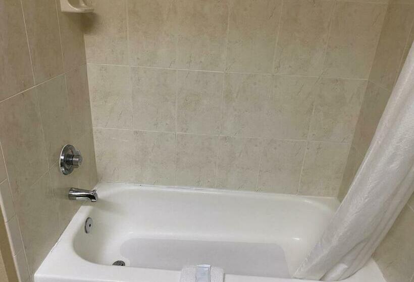 キングサイズベッドのスタンダードルーム, Red Lion Inn & Suites Iah Airport East