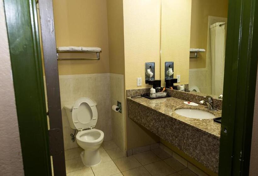 キングサイズベッドのスタンダードルーム, Red Lion Inn & Suites Iah Airport East