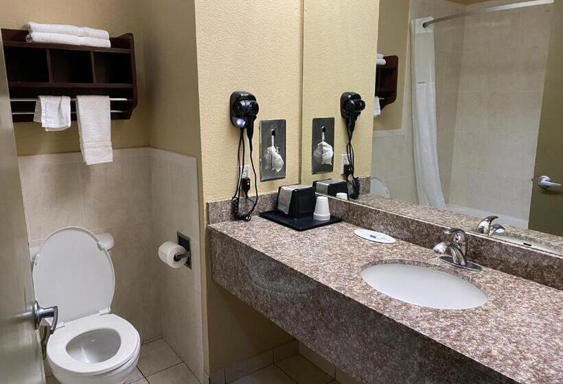 スタンダードルーム, Red Lion Inn & Suites Iah Airport East