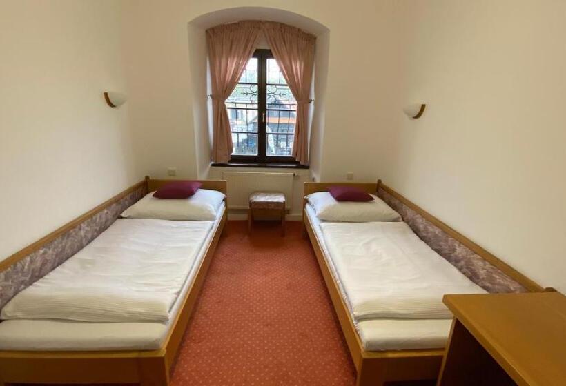 Номер Стандарт, Chateau Zamek Cejkovice