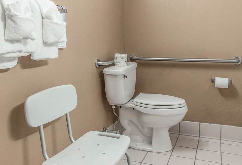 Номер Стандарт 2 Двуспальные Кровати, Fairbridge Inn & Suites Poconos