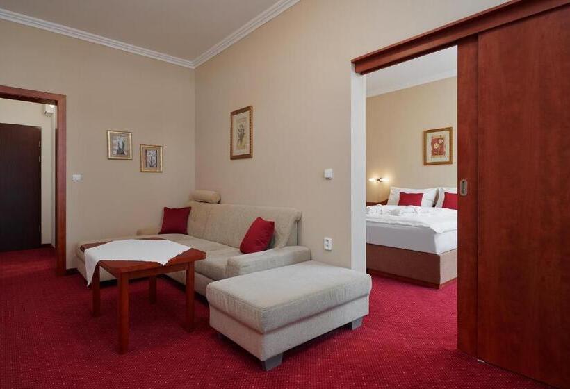 Люкс Повышенной Комфортности, Wellness Hotel Lužan