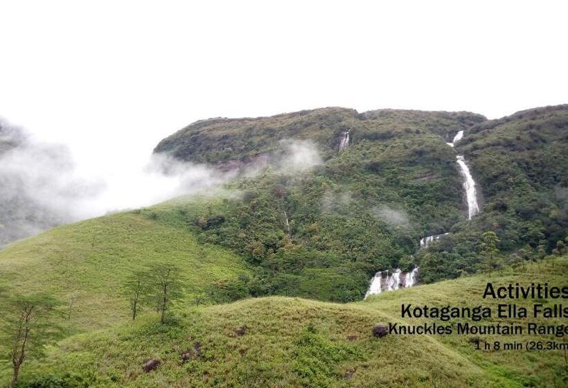 Номер Стандарт Трехместный, Castle Palace Kandy