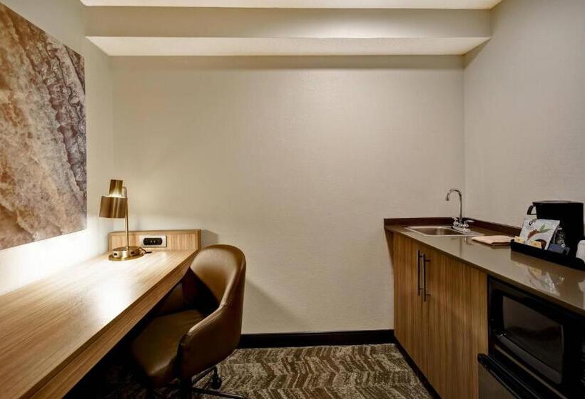 Люкс, Springhill Suites By Marriott Atlanta Kennesaw