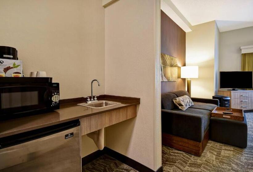 Люкс Кровать Кинг, Springhill Suites By Marriott Atlanta Kennesaw