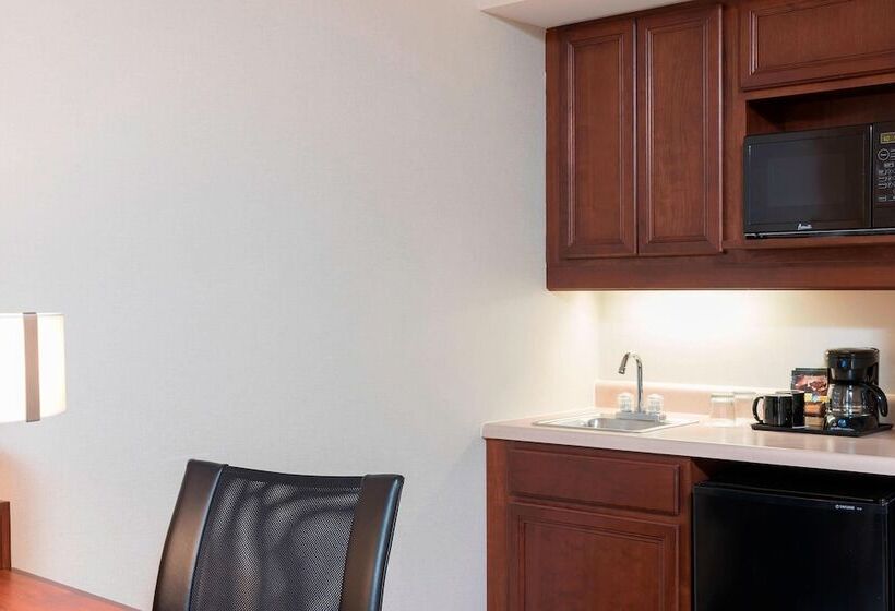 סוויטה, Springhill Suites By Marriott Chicago O Hare