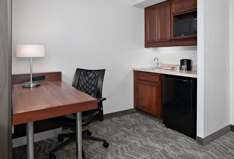 סוויטה, Springhill Suites By Marriott Chicago O Hare