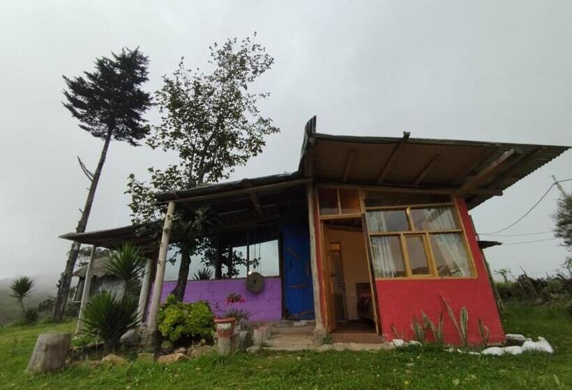 스탠다드 룸 산 전망, Starlight Mountain Lodge