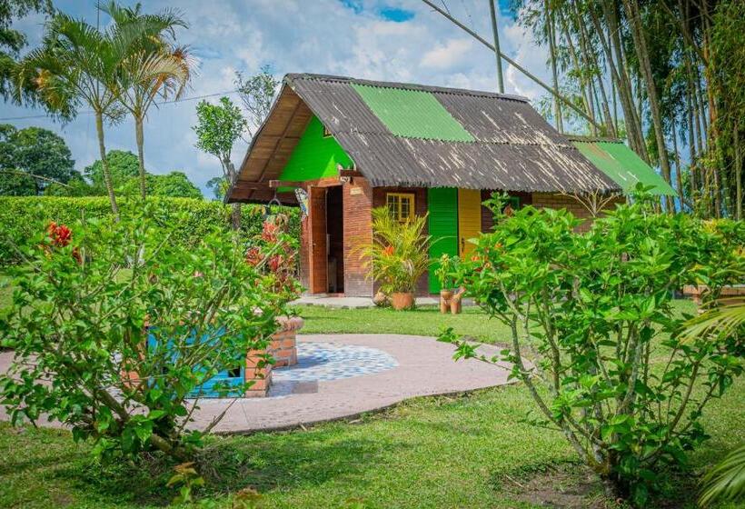 Номер Стандарт, Finca Hotel San Isidro