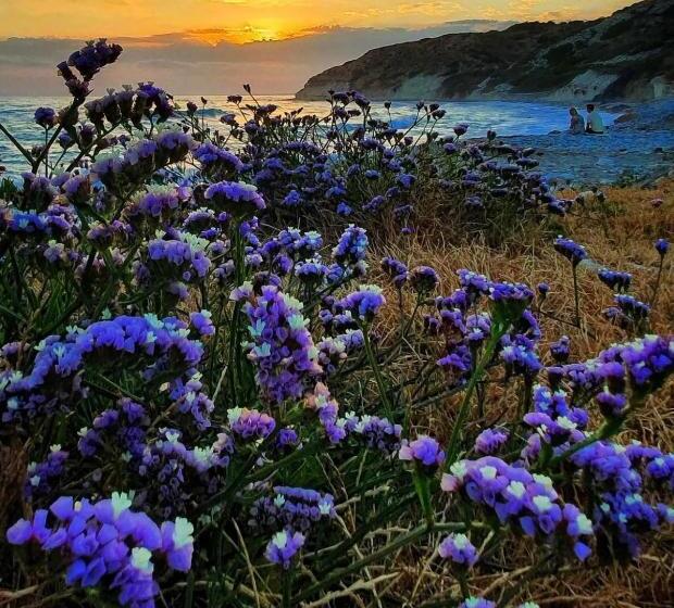스탠다드 스튜디오, Governors Beach Panayiotis